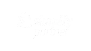 Shopify Partner